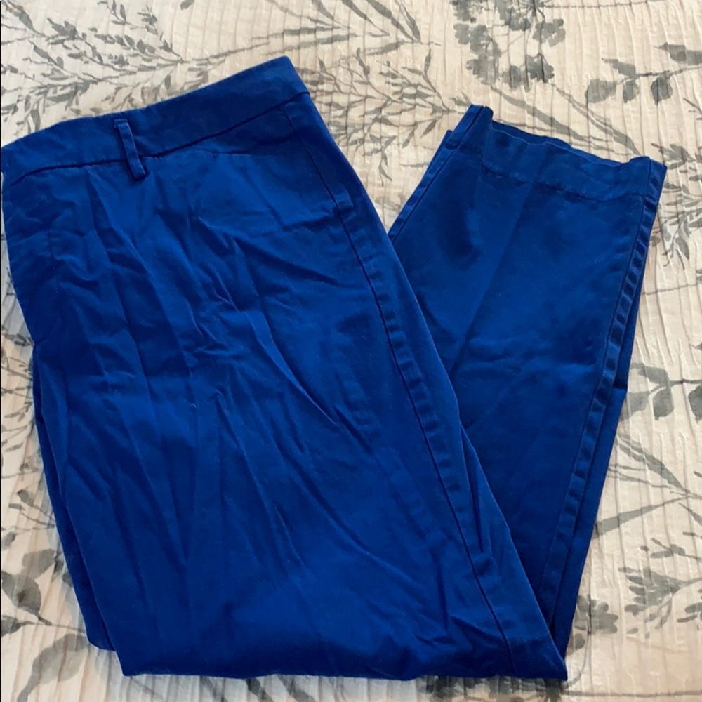 Blue Ankle Pants